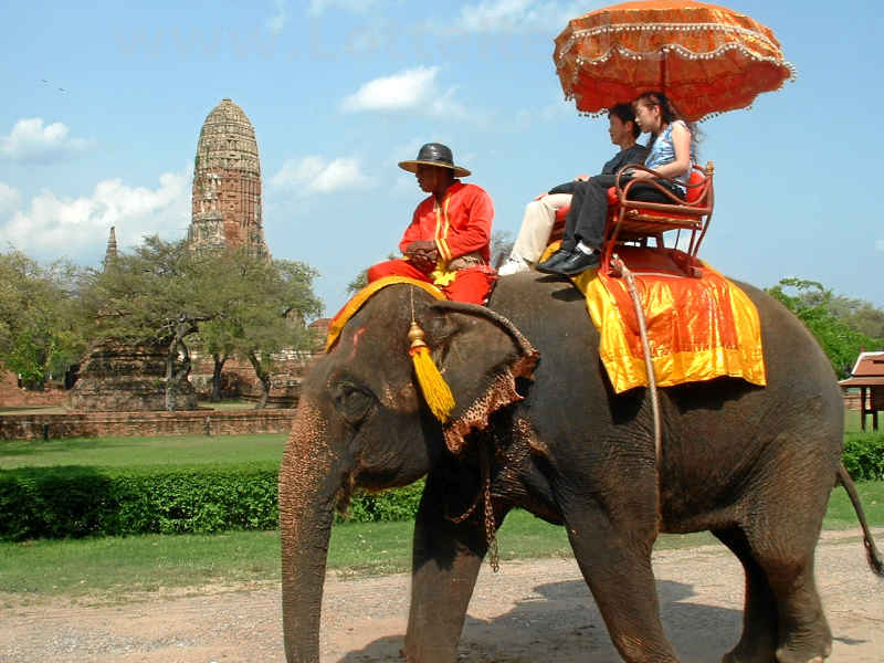 Thai Elephant with customers on his back
